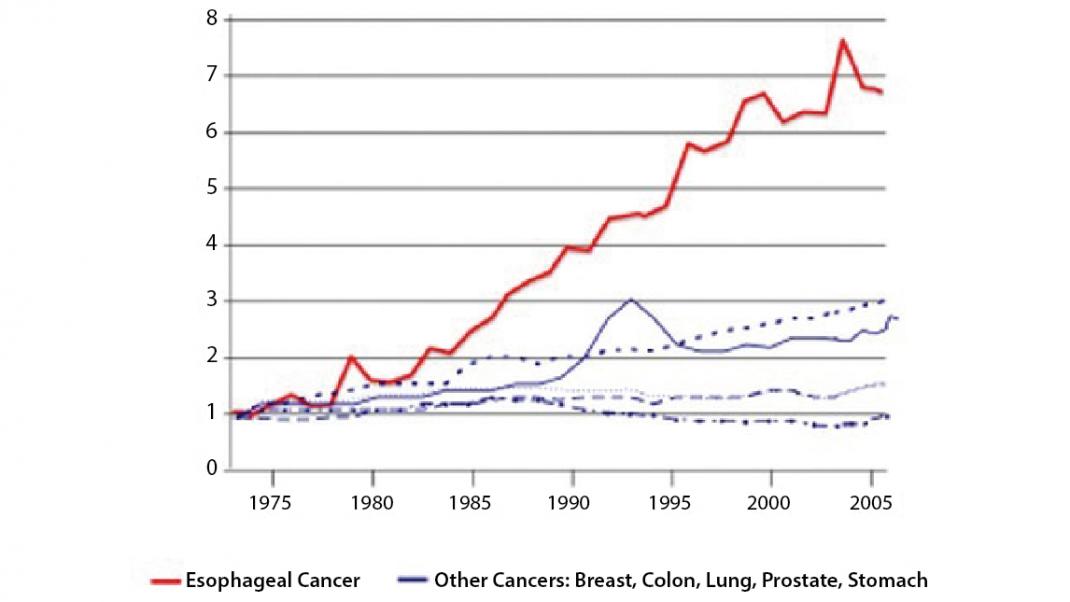 GERD Cancer Risk Rate Ratio ( Relative to 1975)